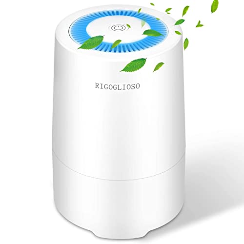 RIGOGLIOSO Luftreiniger mit HEPA Filter für Haustierallergie, 99,97% Luftfilter Filterleistung Pollen, Rauch, Staub, Geruch, Air Filter Purifier für Zuhause Schlafzimmer, bis zu 6-8㎡ Kleiner Raum