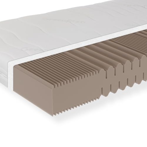 Sleepneo Matratze 160x200, Härtegrad H5, Höhe 18cm, 7 Zonen Kaltschaummatratze 160x200 cm, Antibakterieller Active Greenfirst Bezug ideal für Allergiker, waschbar mit 4-seitigem Reißverschluss