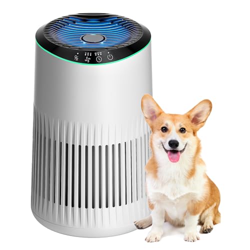 MERONTE Luftreiniger für Schlafzimmer Zuhause, Luftreiniger Allergiker für Schlafzimmer Büro Raucherzimmer, Air Purifier, Weiß, 1 Pack+3 Modi
