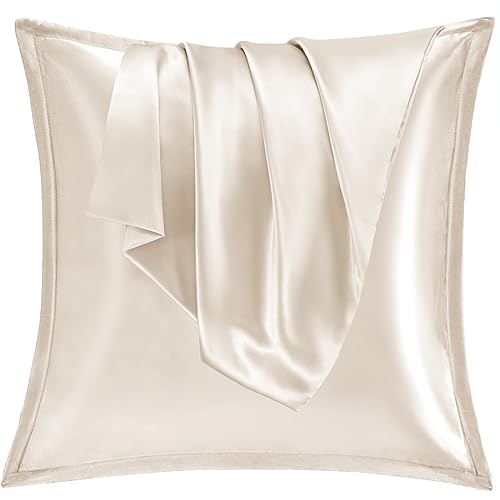Vielit 2er Set Satin Kissnbezug 65x65 mit Zip,Weich wie EIN Silk Pillowcase,wie Seidenkissenbezug Geeignet für Curly Haar,Satin Kopfkissenbezug Kissenbezüge Beige Kissenhülle